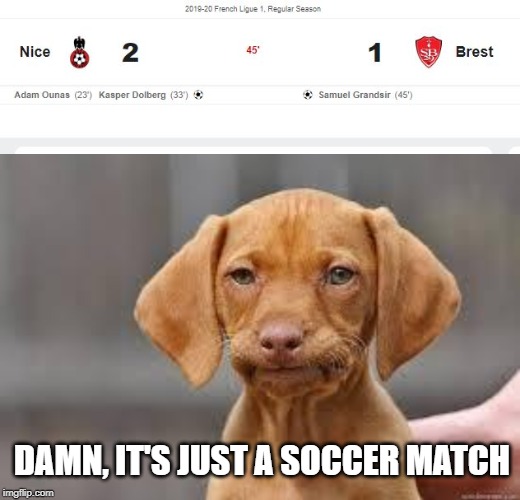 Futbol | DAMN, IT'S JUST A SOCCER MATCH | image tagged in disappointed dog | made w/ Imgflip meme maker