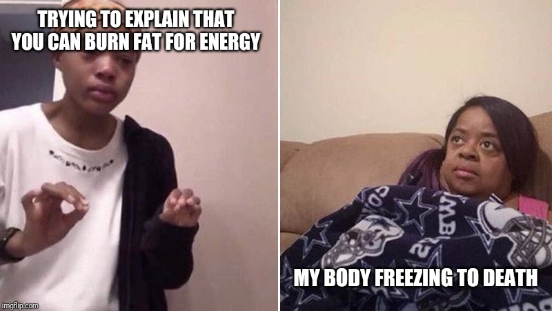 Me explaining to my mom | TRYING TO EXPLAIN THAT YOU CAN BURN FAT FOR ENERGY; MY BODY FREEZING TO DEATH | image tagged in me explaining to my mom | made w/ Imgflip meme maker