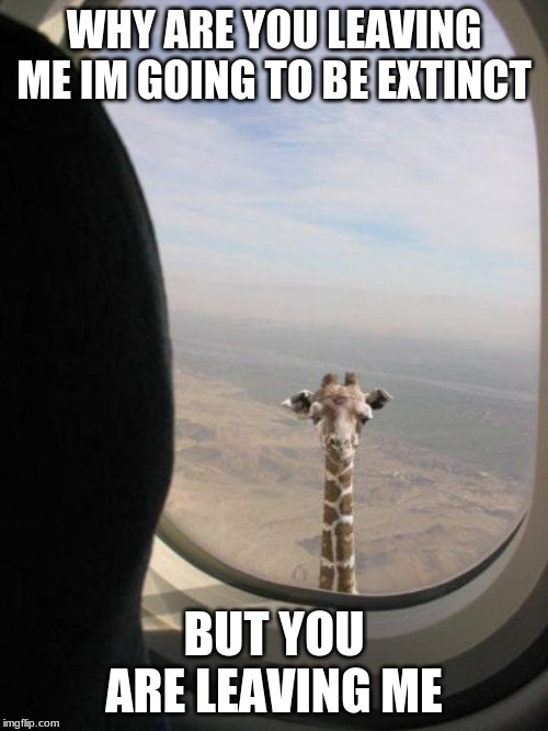 Giraffe shit | WHY ARE YOU LEAVING ME IM GOING TO BE EXTINCT; BUT YOU ARE LEAVING ME | image tagged in giraffe shit | made w/ Imgflip meme maker
