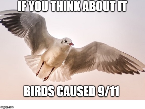 They caused it, it's their fault | IF YOU THINK ABOUT IT; BIRDS CAUSED 9/11 | image tagged in birds,memes,9/11 | made w/ Imgflip meme maker