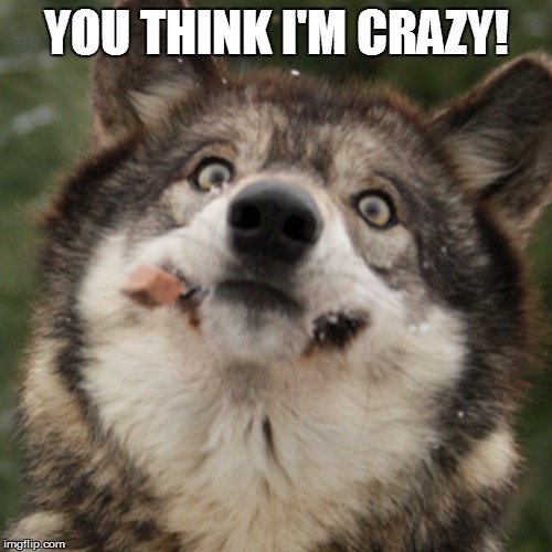 wolf face | YOU THINK I'M CRAZY! | image tagged in wolf face | made w/ Imgflip meme maker