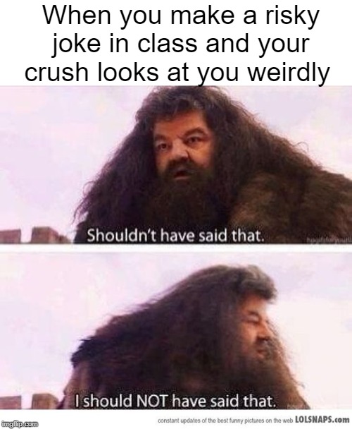 I shouldn't have said that | When you make a risky joke in class and your crush looks at you weirdly | image tagged in i shouldn't have said that,memes,crush | made w/ Imgflip meme maker