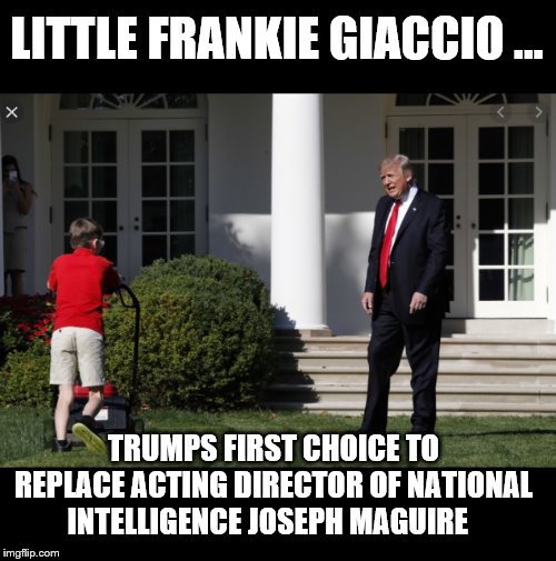 But His Mom Said No... | LITTLE FRANKIE GIACCIO ... TRUMPS FIRST CHOICE TO REPLACE ACTING DIRECTOR OF NATIONAL INTELLIGENCE JOSEPH MAGUIRE | image tagged in white house,trump is a moron,donald trump is an idiot,intelligence,trump russia collusion | made w/ Imgflip meme maker