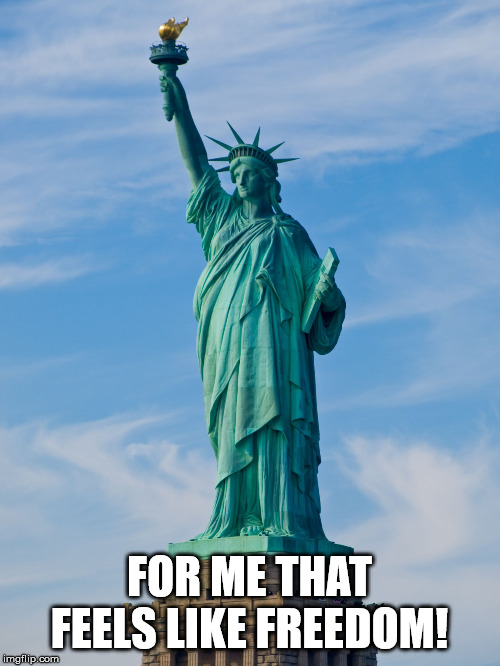 statue of liberty | FOR ME THAT FEELS LIKE FREEDOM! | image tagged in statue of liberty | made w/ Imgflip meme maker