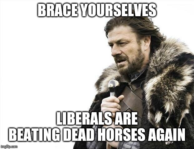 Brace Yourselves X is Coming Meme | BRACE YOURSELVES LIBERALS ARE BEATING DEAD HORSES AGAIN | image tagged in memes,brace yourselves x is coming | made w/ Imgflip meme maker