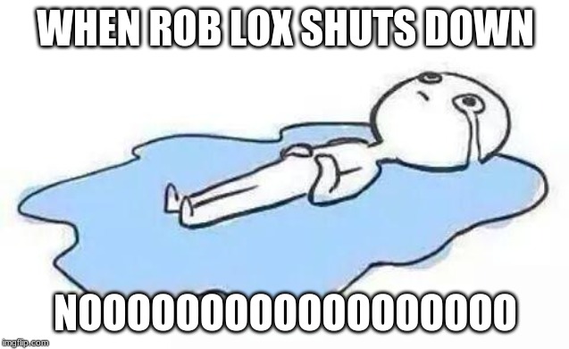 Person Crying | WHEN ROB LOX SHUTS DOWN; NOOOOOOOOOOOOOOOOOO | image tagged in person crying | made w/ Imgflip meme maker