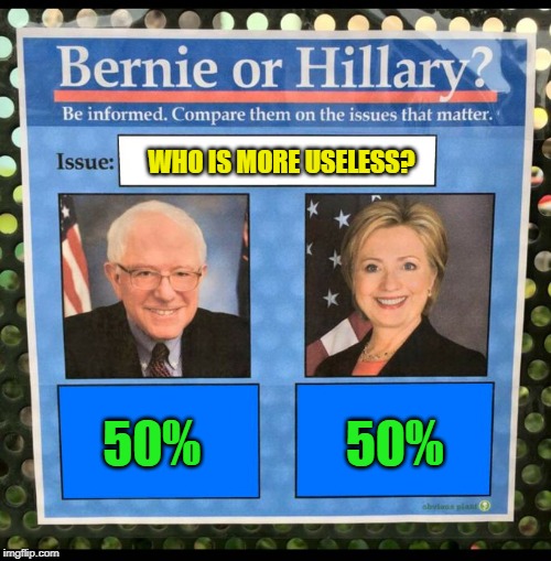 It's a Neck and Neck Tie | WHO IS MORE USELESS? 50%               50% | image tagged in bernie or hillary,neck,panties,dog sausages,political meme | made w/ Imgflip meme maker