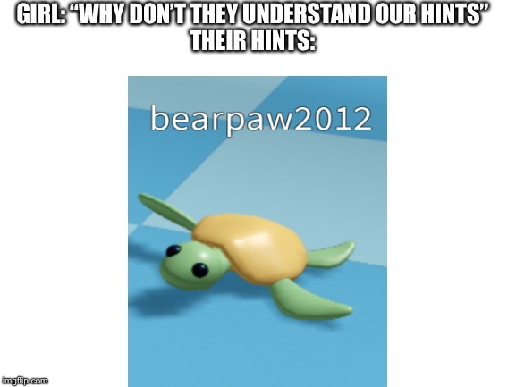 I am not a turtle. I am a bear | GIRL: “WHY DON’T THEY UNDERSTAND OUR HINTS”
THEIR HINTS: | image tagged in funny,bear,turtle,roblox,memes | made w/ Imgflip meme maker