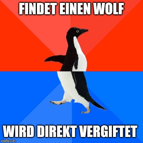 Socially Awesome Awkward Penguin Meme | FINDET EINEN WOLF; WIRD DIREKT VERGIFTET | image tagged in memes,socially awesome awkward penguin | made w/ Imgflip meme maker
