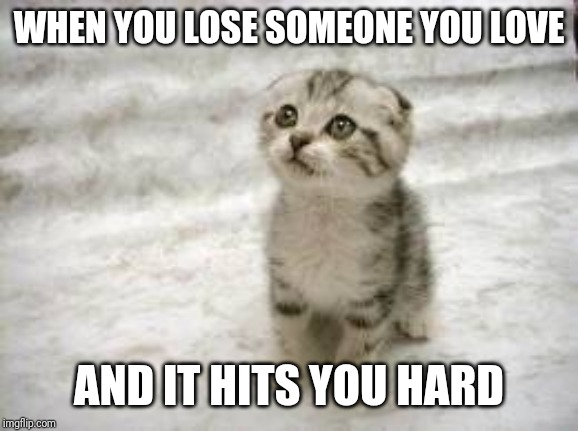 Sad Cat | WHEN YOU LOSE SOMEONE YOU LOVE; AND IT HITS YOU HARD | image tagged in memes,sad cat | made w/ Imgflip meme maker