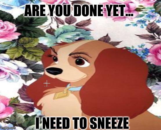 ARE YOU DONE YET... I NEED TO SNEEZE | image tagged in that moment when you realize | made w/ Imgflip meme maker