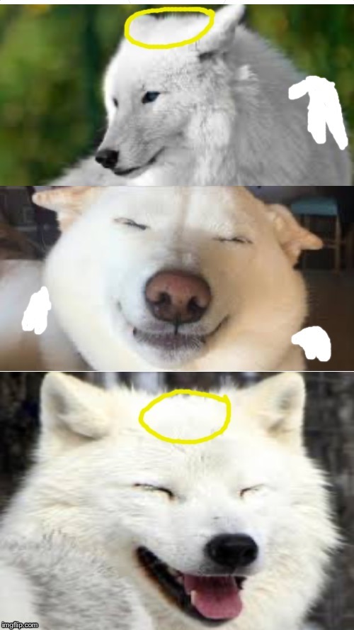 Bad pun Angel-Wolf | image tagged in angel,wolf,memes | made w/ Imgflip meme maker