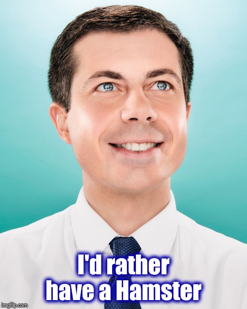 Pete Buttigieg | I'd rather have a Hamster | image tagged in pete buttigieg | made w/ Imgflip meme maker