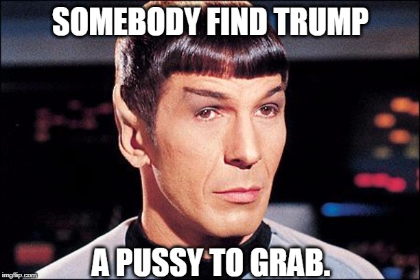 Condescending Spock | SOMEBODY FIND TRUMP A PUSSY TO GRAB. | image tagged in condescending spock | made w/ Imgflip meme maker