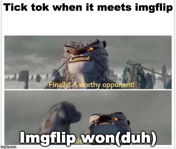 Finally! A worthy opponent! | Tick tok when it meets imgflip; Imgflip won(duh) | image tagged in finally a worthy opponent | made w/ Imgflip meme maker