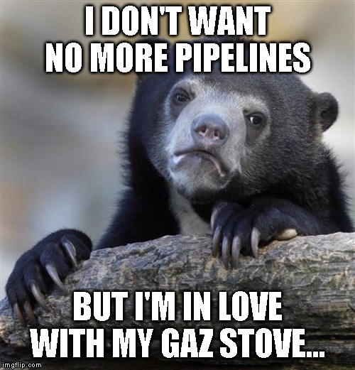 Confession Bear Meme | I DON'T WANT NO MORE PIPELINES; BUT I'M IN LOVE WITH MY GAZ STOVE... | image tagged in memes,confession bear | made w/ Imgflip meme maker
