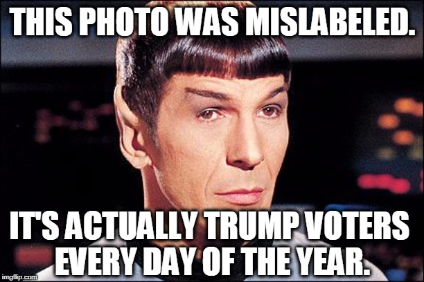Condescending Spock | THIS PHOTO WAS MISLABELED. IT'S ACTUALLY TRUMP VOTERS 
EVERY DAY OF THE YEAR. | image tagged in condescending spock | made w/ Imgflip meme maker