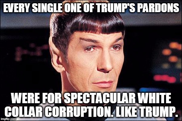 Condescending Spock | EVERY SINGLE ONE OF TRUMP'S PARDONS WERE FOR SPECTACULAR WHITE COLLAR CORRUPTION. LIKE TRUMP. | image tagged in condescending spock | made w/ Imgflip meme maker