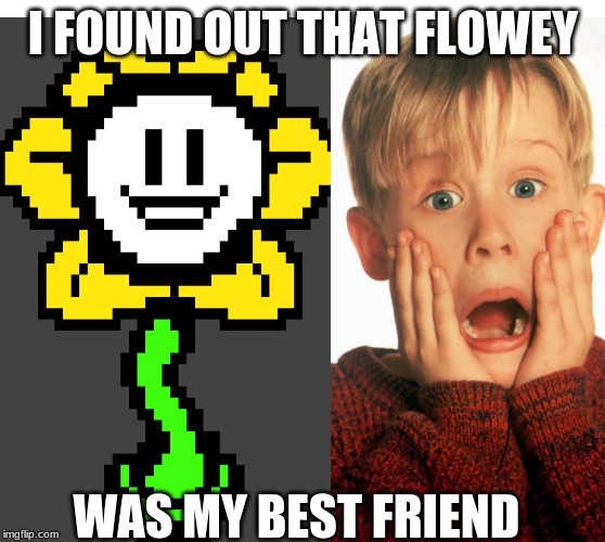 I FOUND OUT THAT FLOWEY; WAS MY BEST FRIEND | made w/ Imgflip meme maker