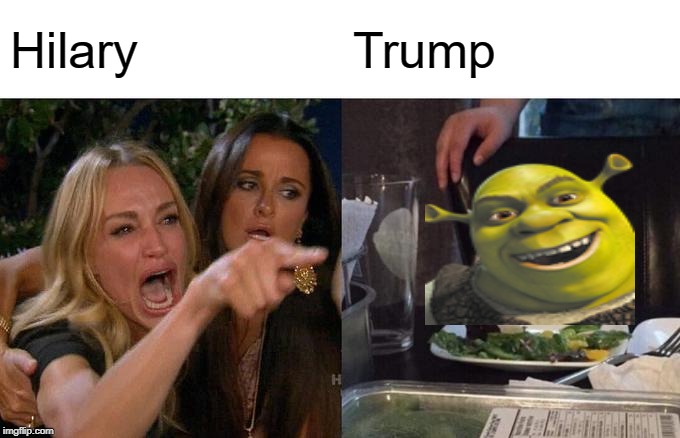 Woman Yelling At Cat | Hilary; Trump | image tagged in memes,woman yelling at cat | made w/ Imgflip meme maker