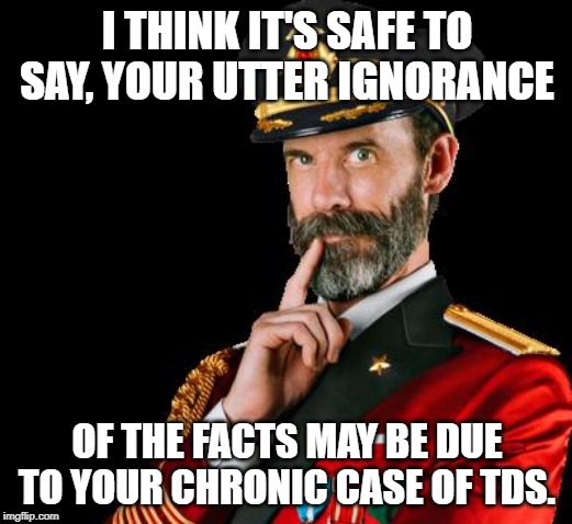 captain obvious | I THINK IT'S SAFE TO SAY, YOUR UTTER IGNORANCE OF THE FACTS MAY BE DUE TO YOUR CHRONIC CASE OF TDS. | image tagged in captain obvious | made w/ Imgflip meme maker
