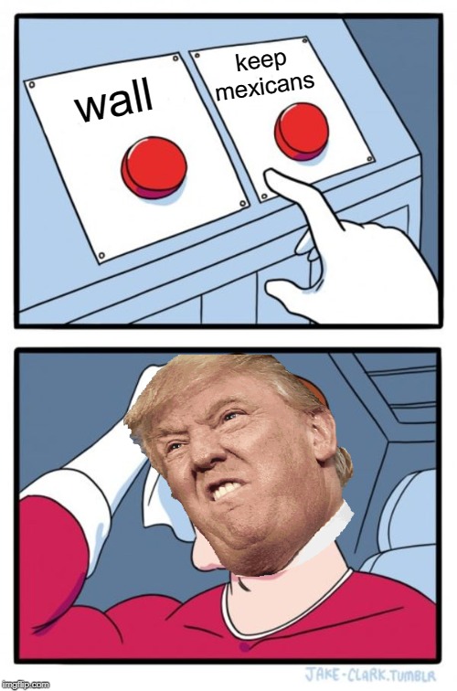 Two Buttons Meme | keep mexicans; wall | image tagged in memes,two buttons | made w/ Imgflip meme maker