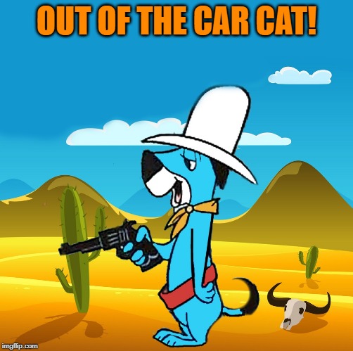 huckleberry | OUT OF THE CAR CAT! | image tagged in huckleberry | made w/ Imgflip meme maker