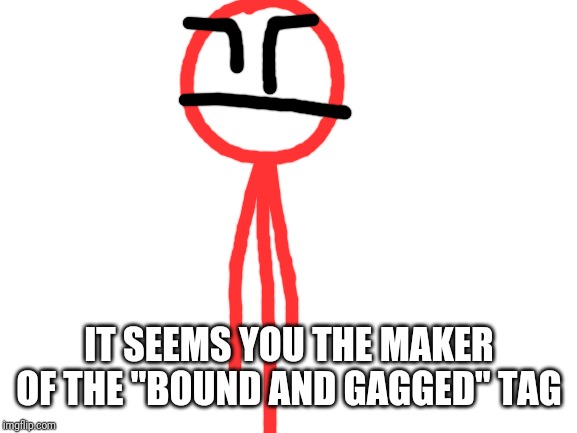Blank White Template | IT SEEMS YOU THE MAKER OF THE "BOUND AND GAGGED" TAG | image tagged in blank white template | made w/ Imgflip meme maker