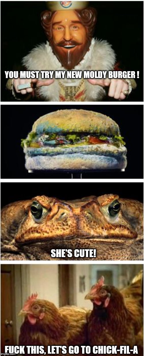 Yummy! | YOU MUST TRY MY NEW MOLDY BURGER ! SHE'S CUTE! FUCK THIS, LET'S GO TO CHICK-FIL-A | image tagged in burger king | made w/ Imgflip meme maker