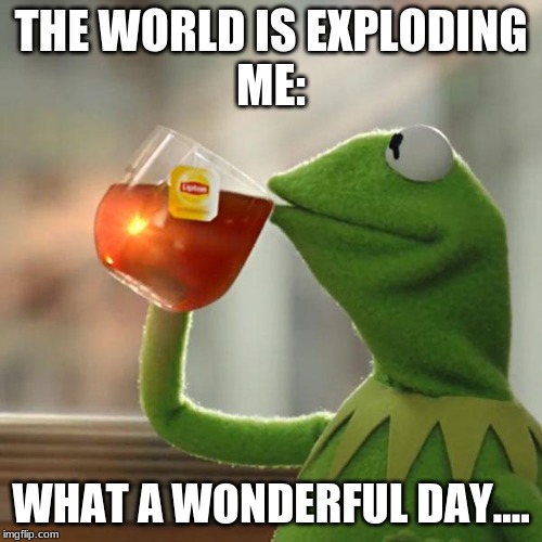 I Don't Look Out the Window. Drat. | THE WORLD IS EXPLODING
ME:; WHAT A WONDERFUL DAY.... | image tagged in memes,but thats none of my business,kermit the frog | made w/ Imgflip meme maker