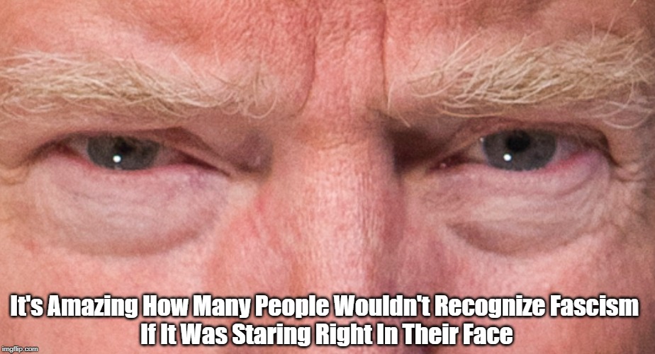 "It's Amazing How Many People Wouldn't Recognize Fascism If It Was..." | It's Amazing How Many People Wouldn't Recognize Fascism 
If It Was Staring Right In Their Face | image tagged in fascism,mussolini,corporatism | made w/ Imgflip meme maker