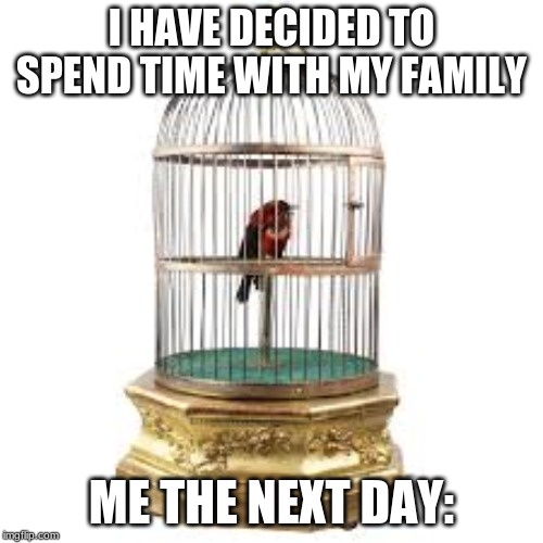 Never mind... | I HAVE DECIDED TO SPEND TIME WITH MY FAMILY; ME THE NEXT DAY: | image tagged in birds,no thanks | made w/ Imgflip meme maker