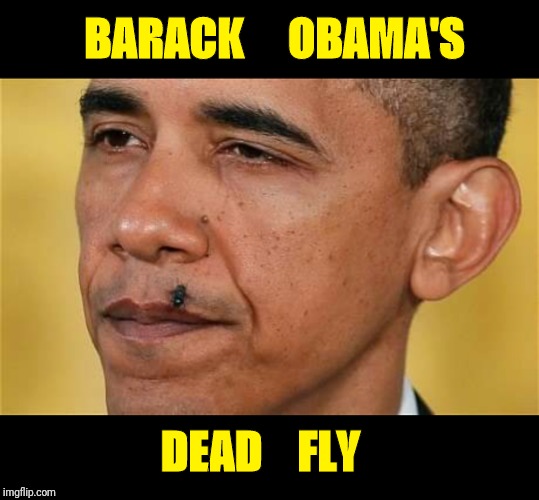 Obama | BARACK     OBAMA'S; DEAD    FLY | image tagged in obama | made w/ Imgflip meme maker