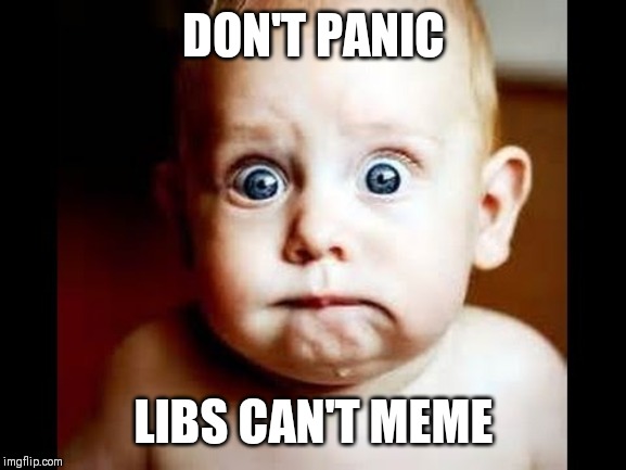 Don't panic  | DON'T PANIC LIBS CAN'T MEME | image tagged in don't panic | made w/ Imgflip meme maker