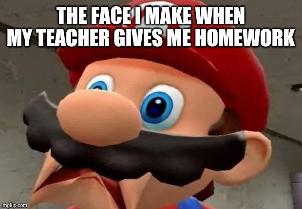 Mario WTF | THE FACE I MAKE WHEN MY TEACHER GIVES ME HOMEWORK | image tagged in mario wtf | made w/ Imgflip meme maker