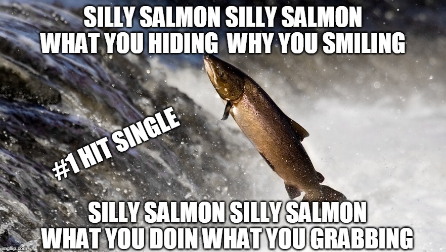 Salmon | SILLY SALMON SILLY SALMON WHAT YOU HIDING  WHY YOU SMILING; #1 HIT SINGLE; SILLY SALMON SILLY SALMON WHAT YOU DOIN WHAT YOU GRABBING | image tagged in salmon | made w/ Imgflip meme maker