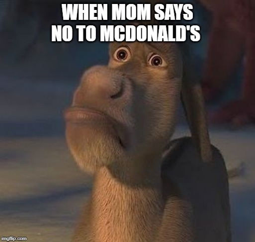 Shrek Donkey Cut Me Deep | WHEN MOM SAYS NO TO MCDONALD'S | image tagged in shrek donkey cut me deep | made w/ Imgflip meme maker