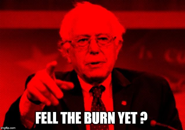 BERNIE | FELL THE BURN YET ? | image tagged in burn | made w/ Imgflip meme maker