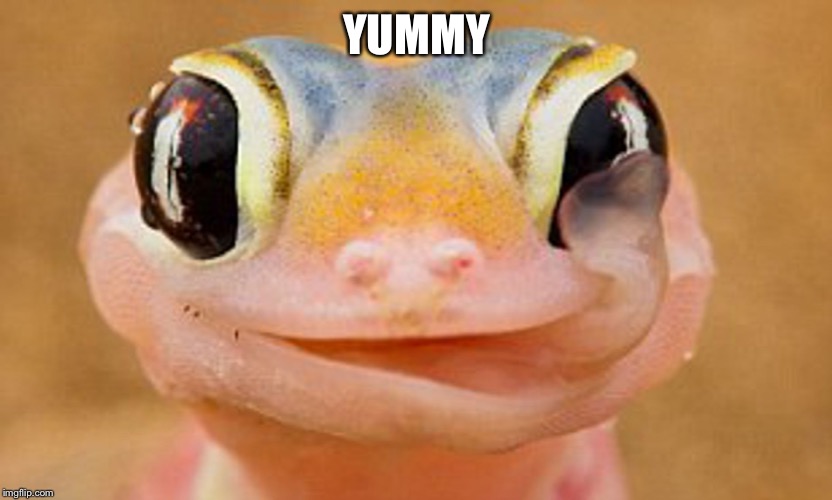 YUMMY | made w/ Imgflip meme maker