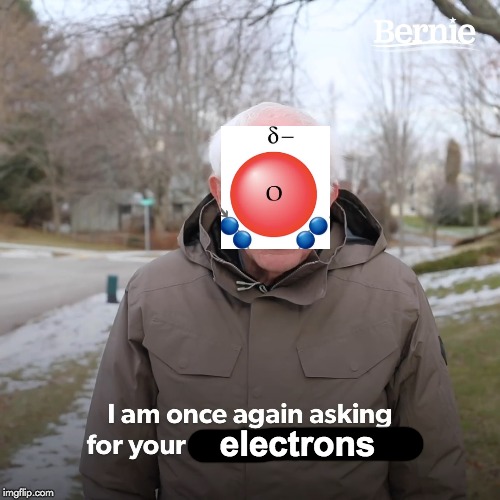Bernie Sanders | electrons | image tagged in bernie sanders | made w/ Imgflip meme maker