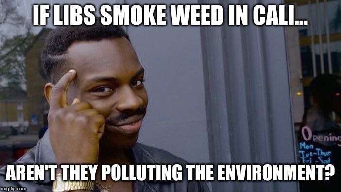Roll Safe Think About It Meme | IF LIBS SMOKE WEED IN CALI... AREN'T THEY POLLUTING THE ENVIRONMENT? | image tagged in memes,roll safe think about it | made w/ Imgflip meme maker