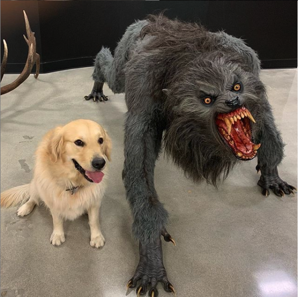 Dog v werewolf Blank Meme Template