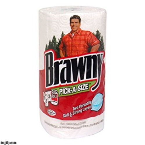 Brawny paper towels roll | image tagged in brawny paper towels roll | made w/ Imgflip meme maker