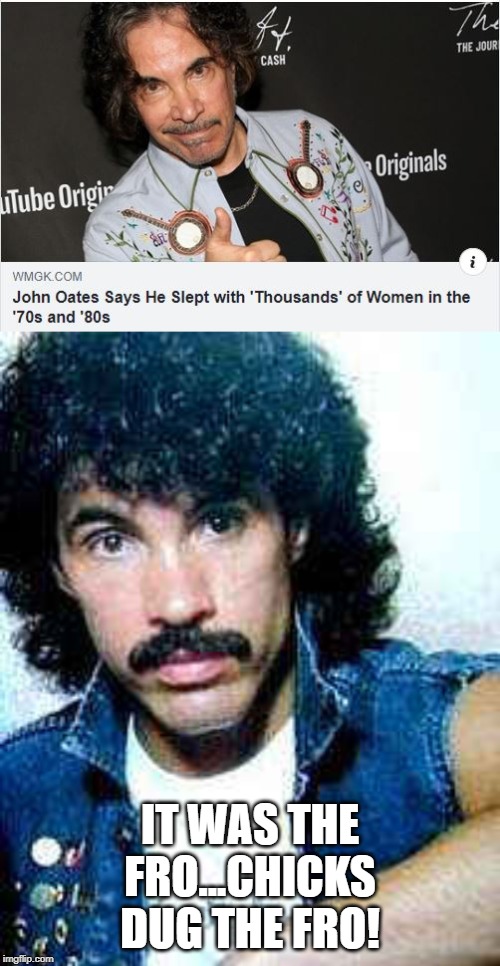 Sowed His Oates | IT WAS THE FRO...CHICKS DUG THE FRO! | image tagged in hall and oates | made w/ Imgflip meme maker