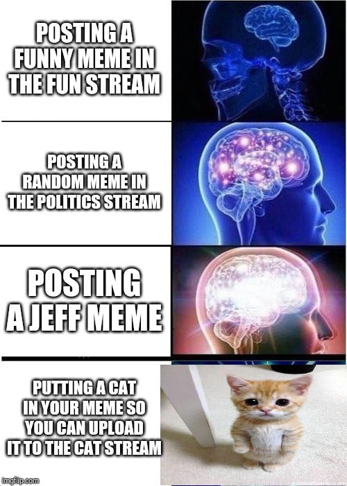 Expanding Brain Meme | POSTING A FUNNY MEME IN THE FUN STREAM; POSTING A RANDOM MEME IN THE POLITICS STREAM; POSTING A JEFF MEME; PUTTING A CAT IN YOUR MEME SO YOU CAN UPLOAD IT TO THE CAT STREAM | image tagged in memes,expanding brain | made w/ Imgflip meme maker