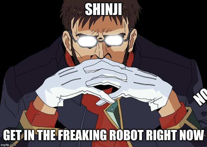 Get In The Robot Shinji | SHINJI; NO; GET IN THE FREAKING ROBOT RIGHT NOW | image tagged in get in the robot shinji | made w/ Imgflip meme maker