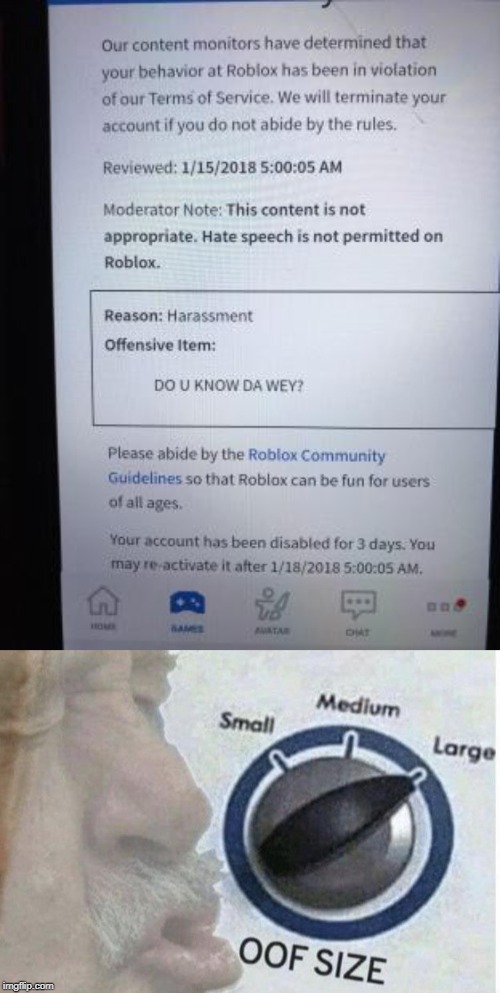 This is roblox moderation for you | image tagged in memes,oof size large,roblox,do you know da wae | made w/ Imgflip meme maker