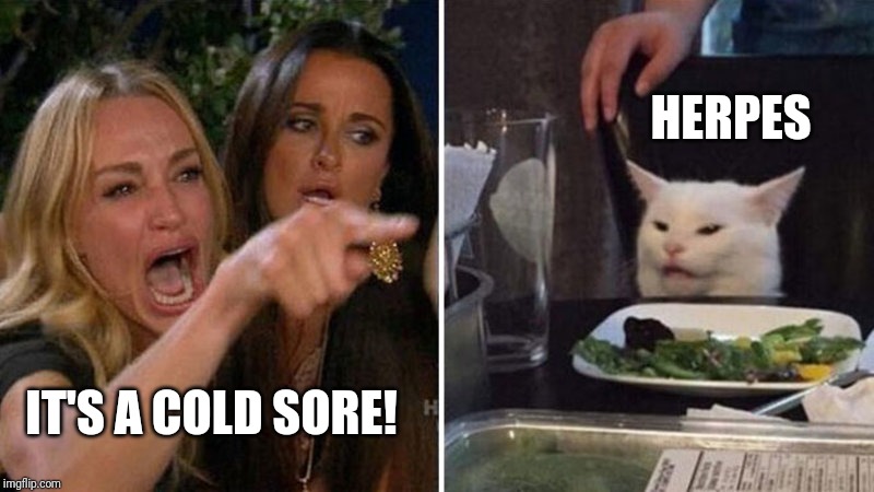 Famous Last Words | HERPES; IT'S A COLD SORE! | image tagged in woman yelling at cat,herpes,stone cold,virus,cold | made w/ Imgflip meme maker