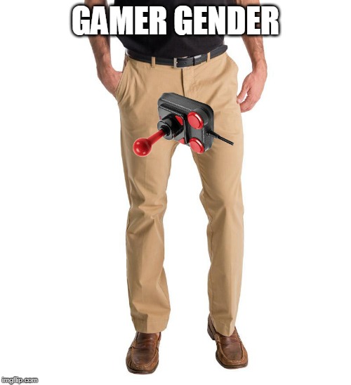 gamer gender | GAMER GENDER | image tagged in gamer gender | made w/ Imgflip meme maker