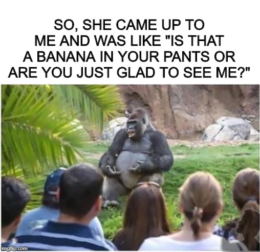 Ape Tales | SO, SHE CAME UP TO ME AND WAS LIKE "IS THAT A BANANA IN YOUR PANTS OR ARE YOU JUST GLAD TO SEE ME?" | image tagged in funny animals | made w/ Imgflip meme maker